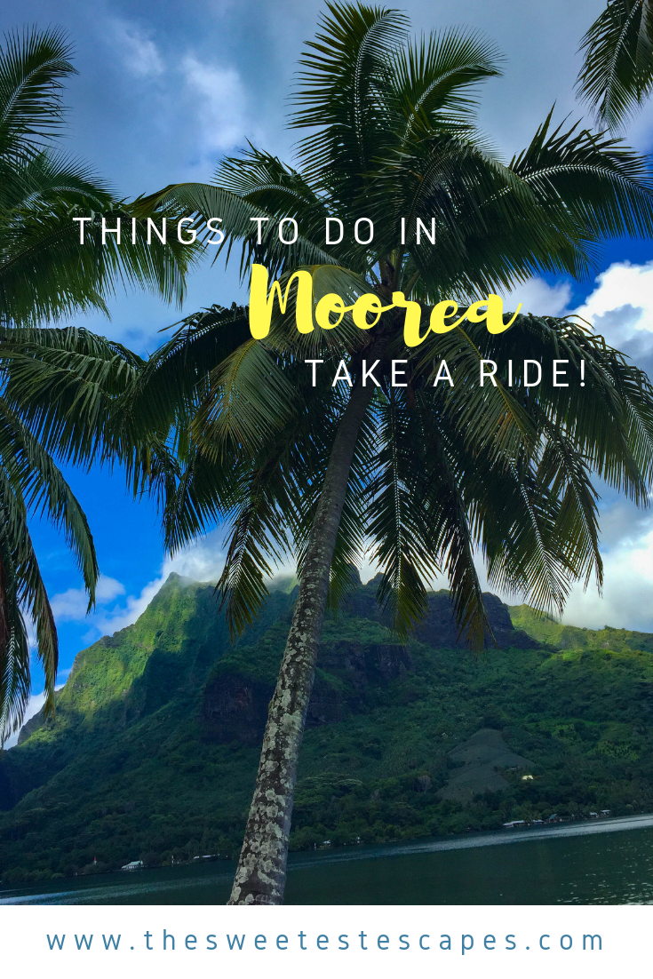 Rent a Buggy in-Moorea-French Polynesia .png