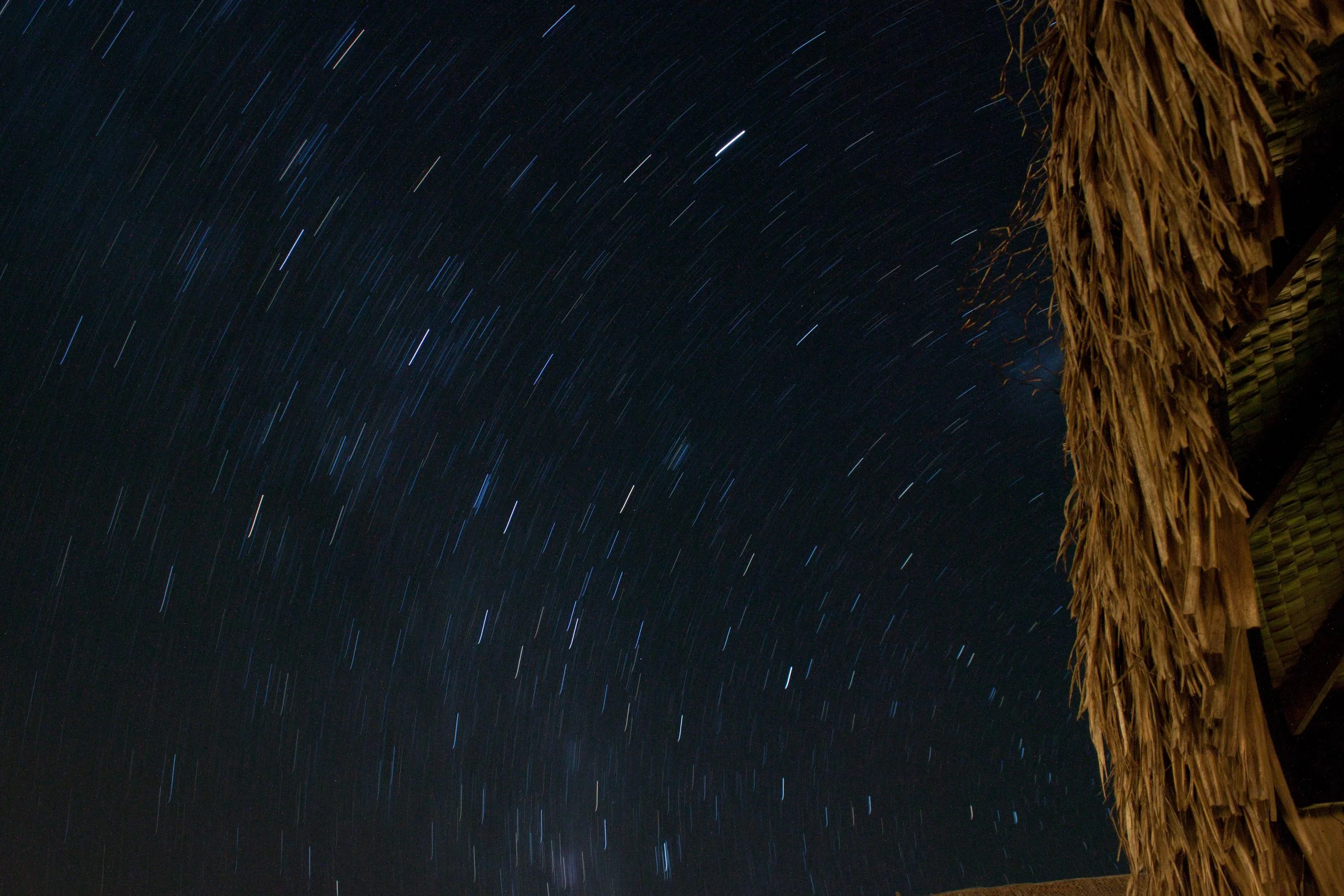Moorea_star_gazing.jpeg