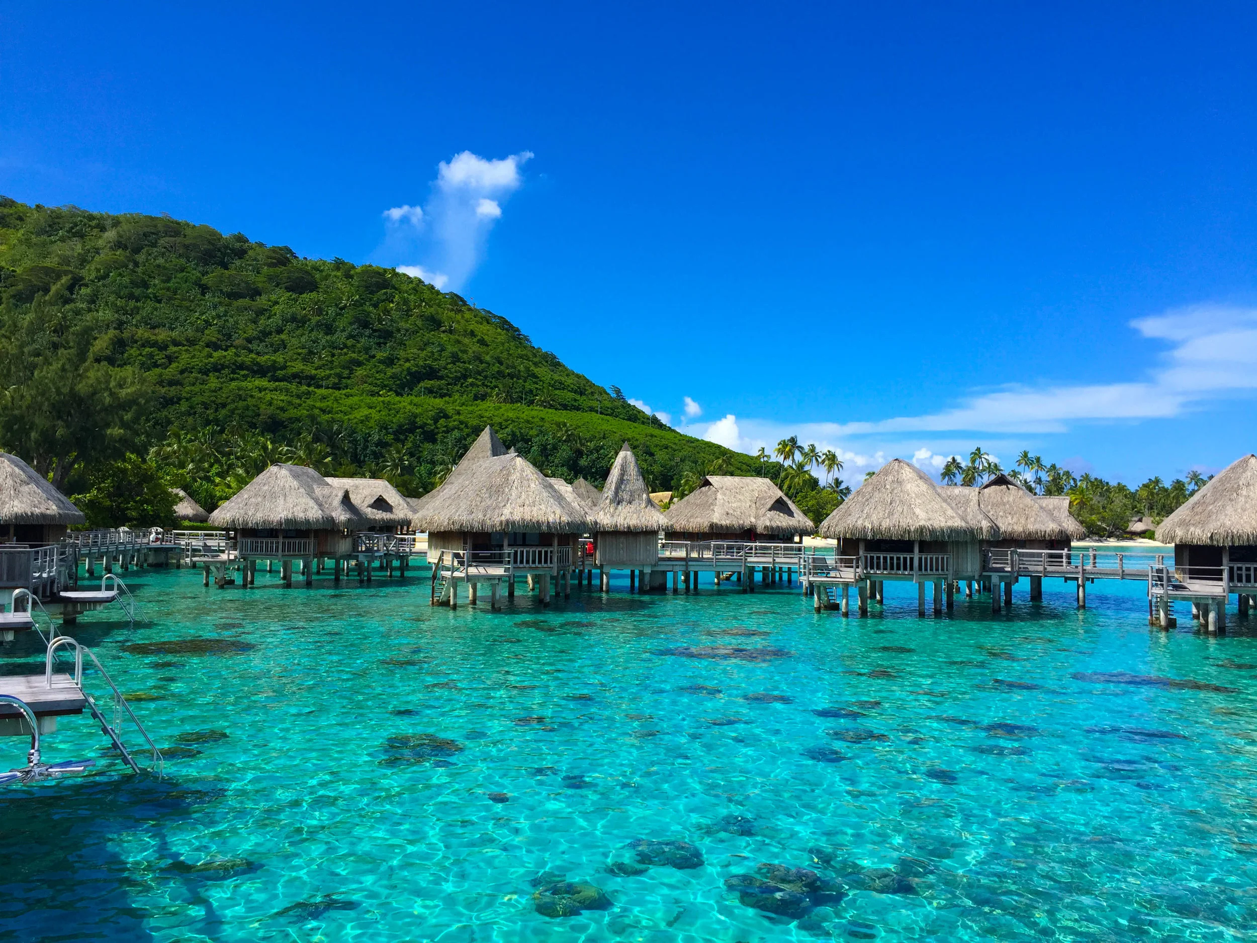 Moorea French Polynesia Moorea French Polynesia