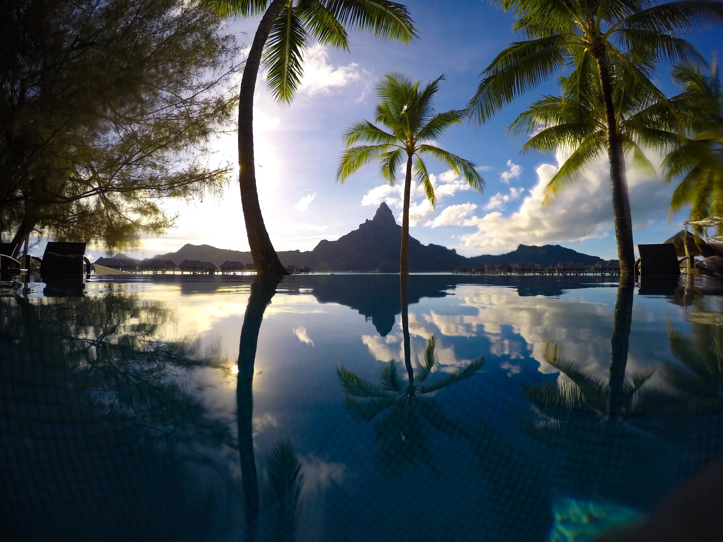 INFINITY POOL VIEWS