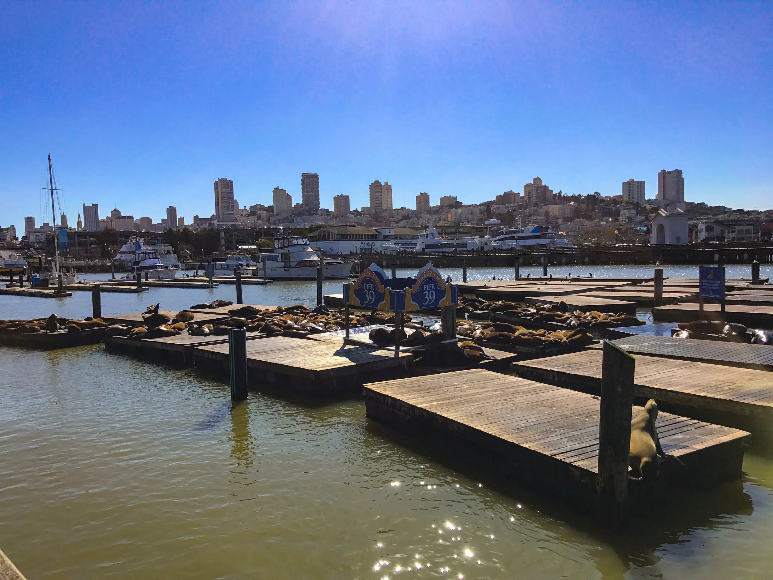 San Francisco-7.jpg