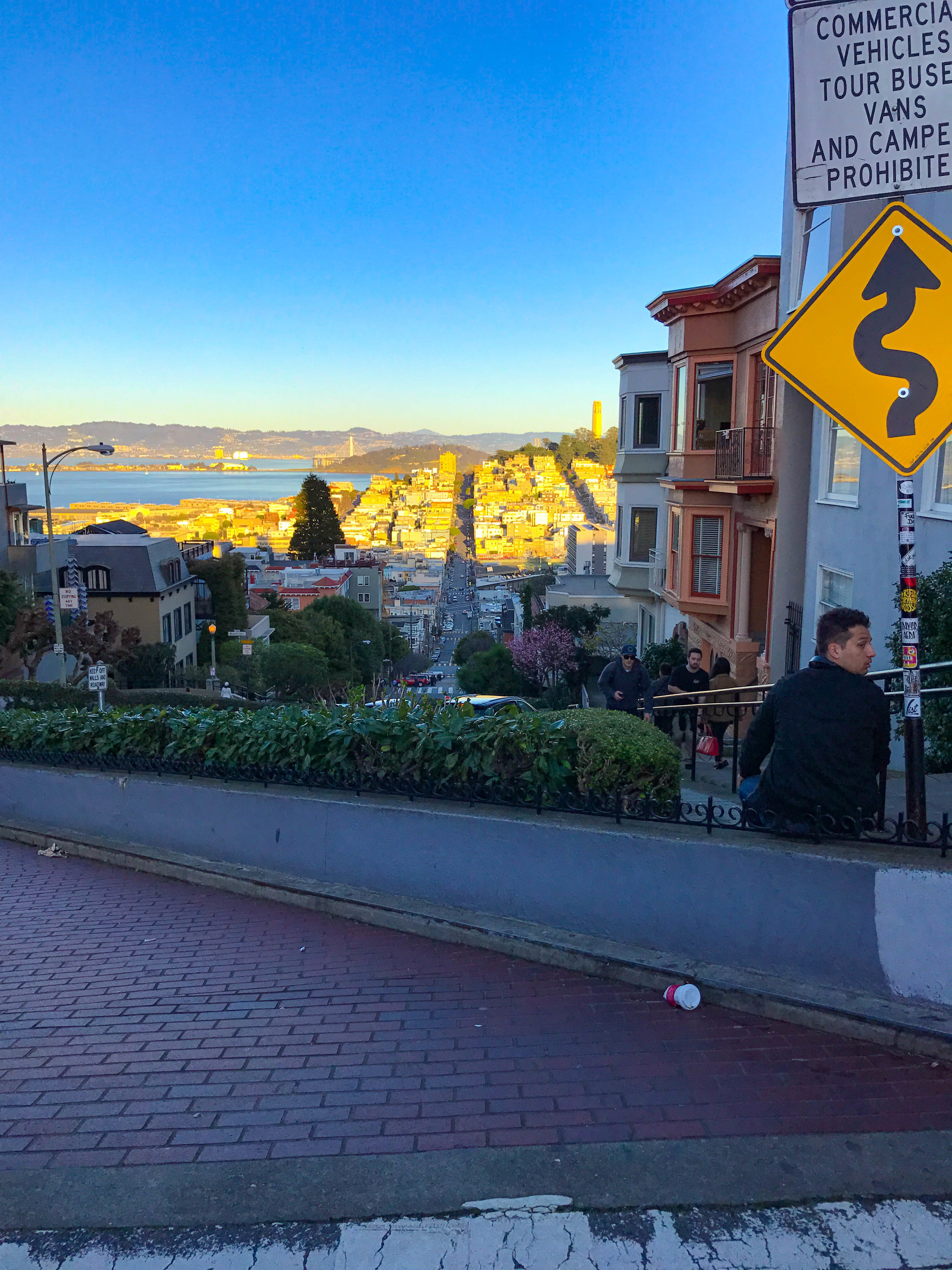 Lombard Street - Things to do in San Francisco