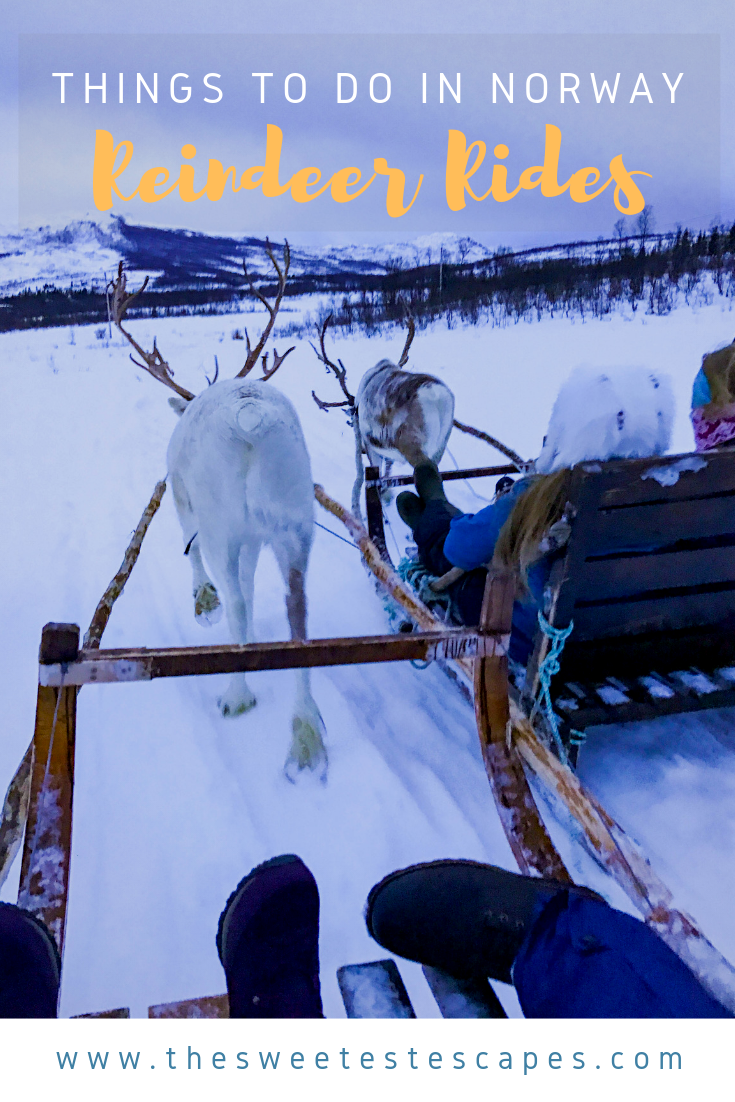 Things to do in Norway_Reindeer Rides.png