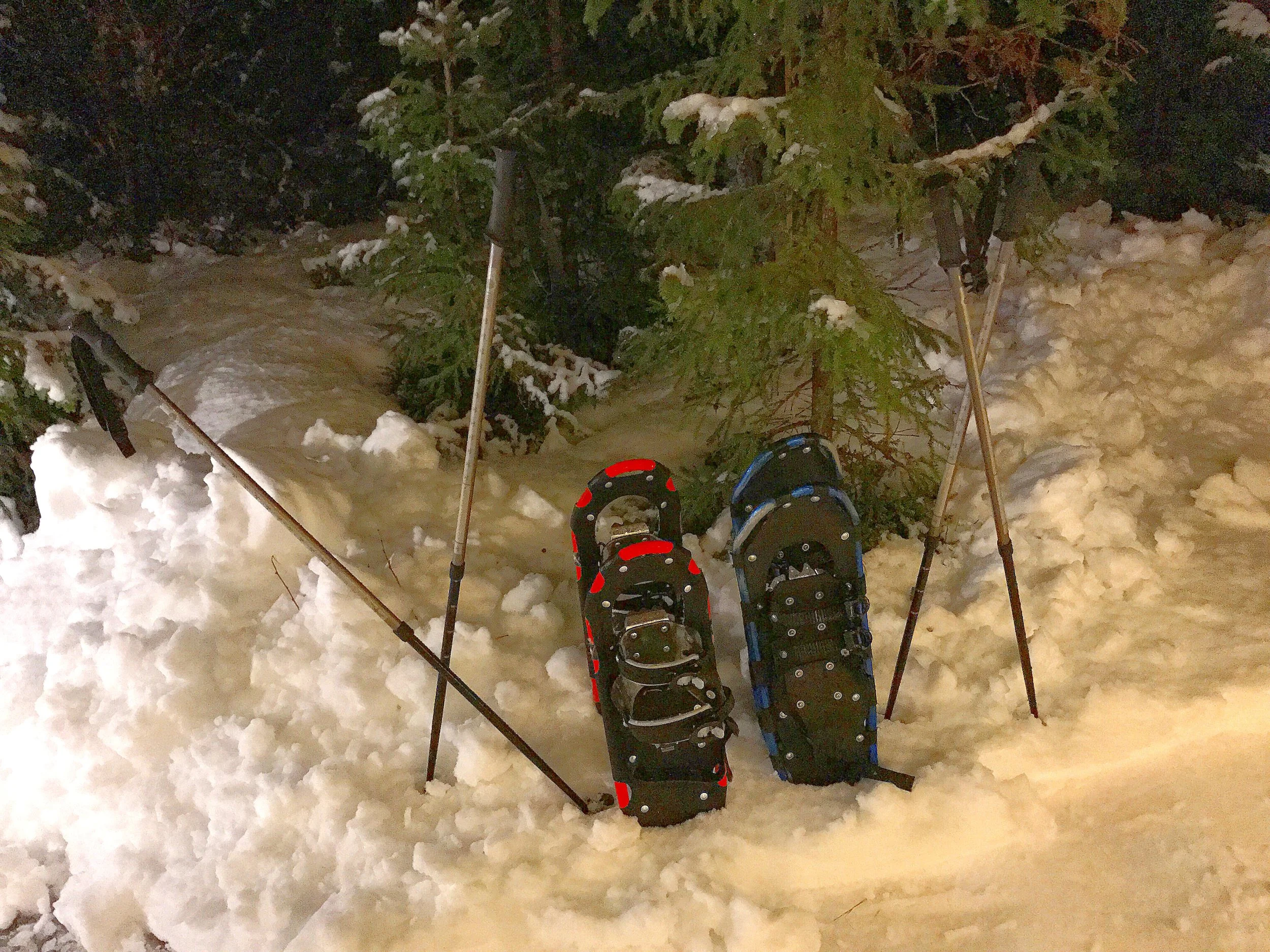 Norway Snowshoes.jpg