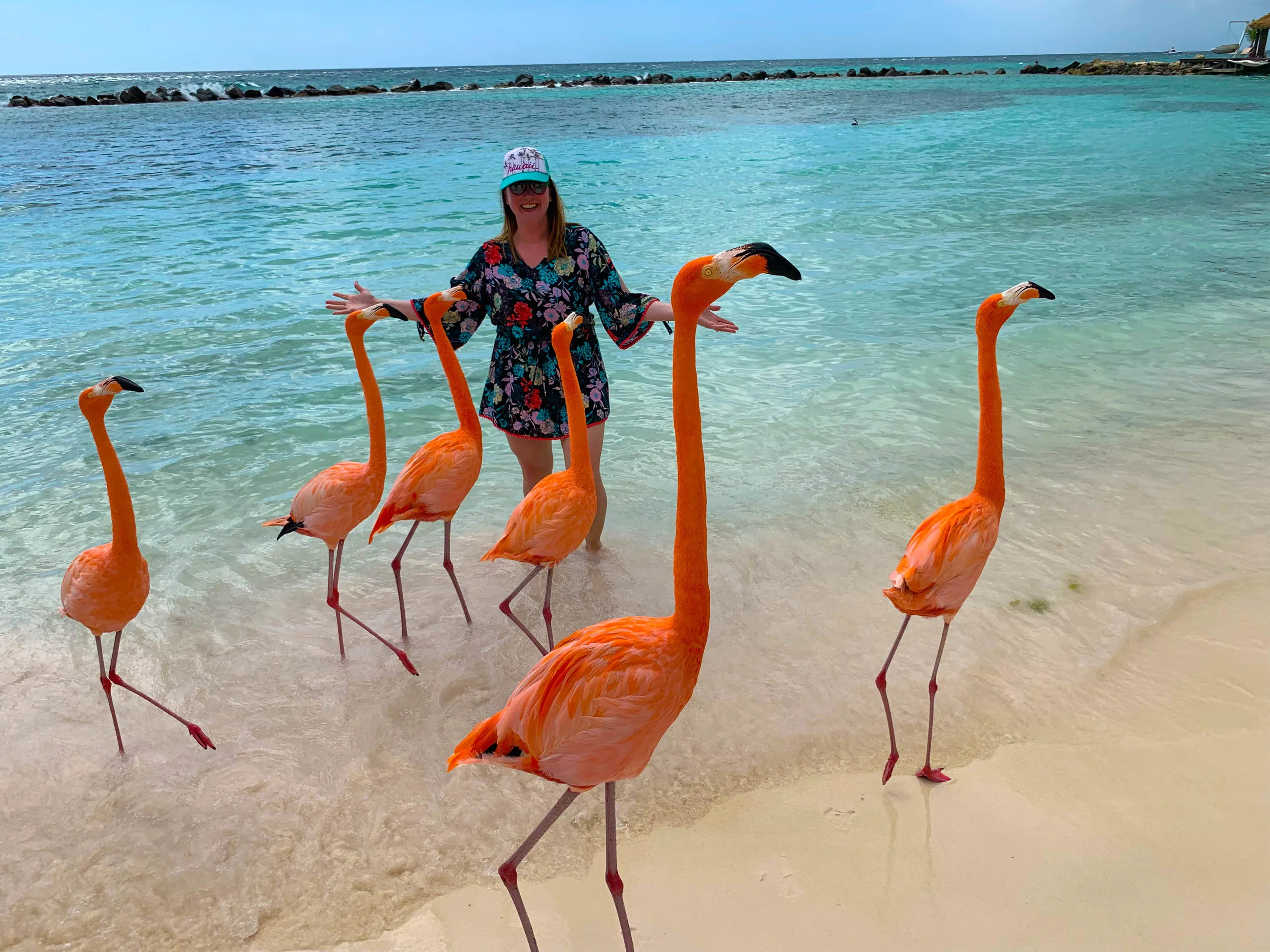 Everything You Need To Know About Visiting Flamingo Beach Aruba The Everything You Need To Know About Visiting Flamingo Beach Aruba The