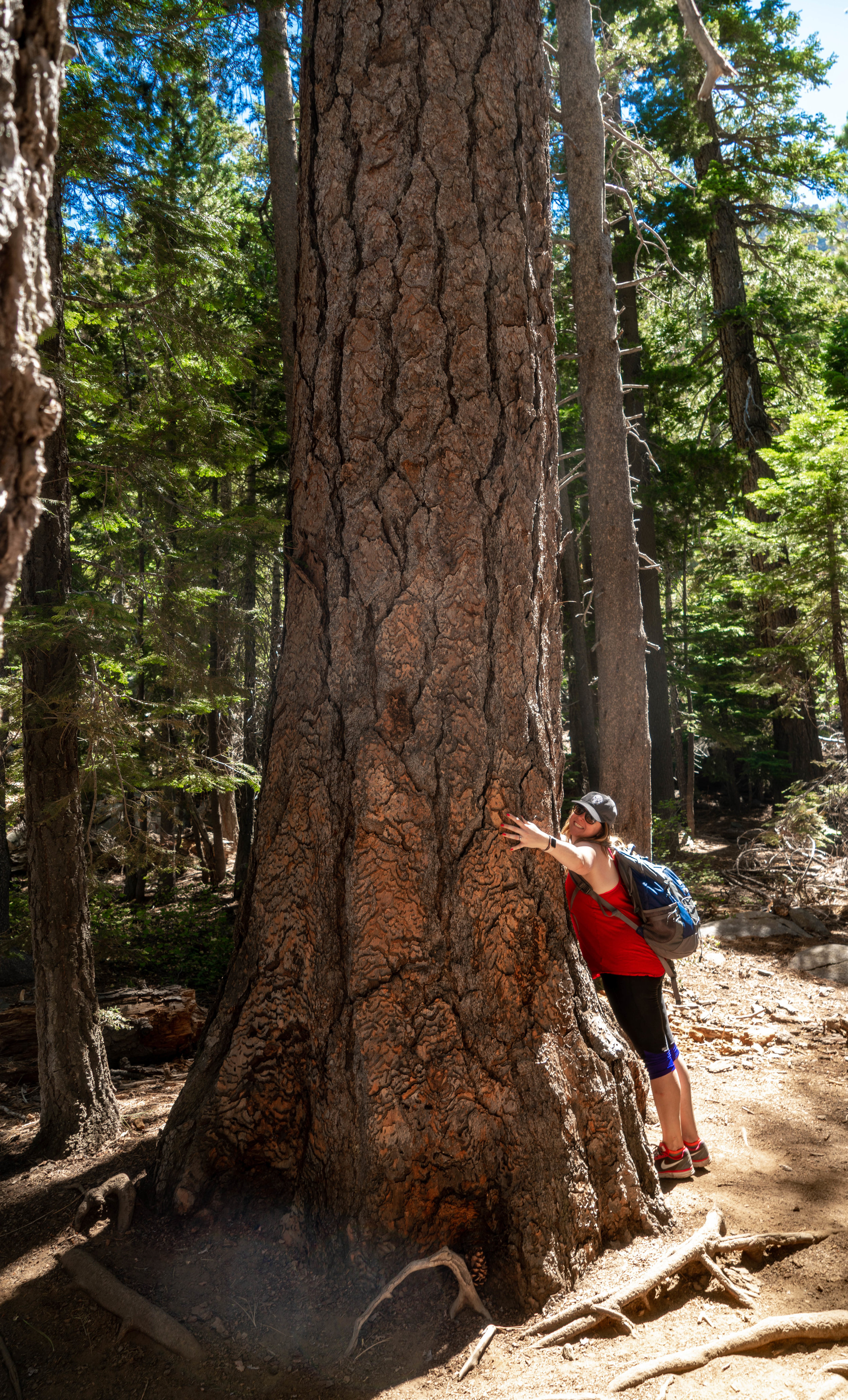 Lake Tahoe Eagle Falls Trail Guide