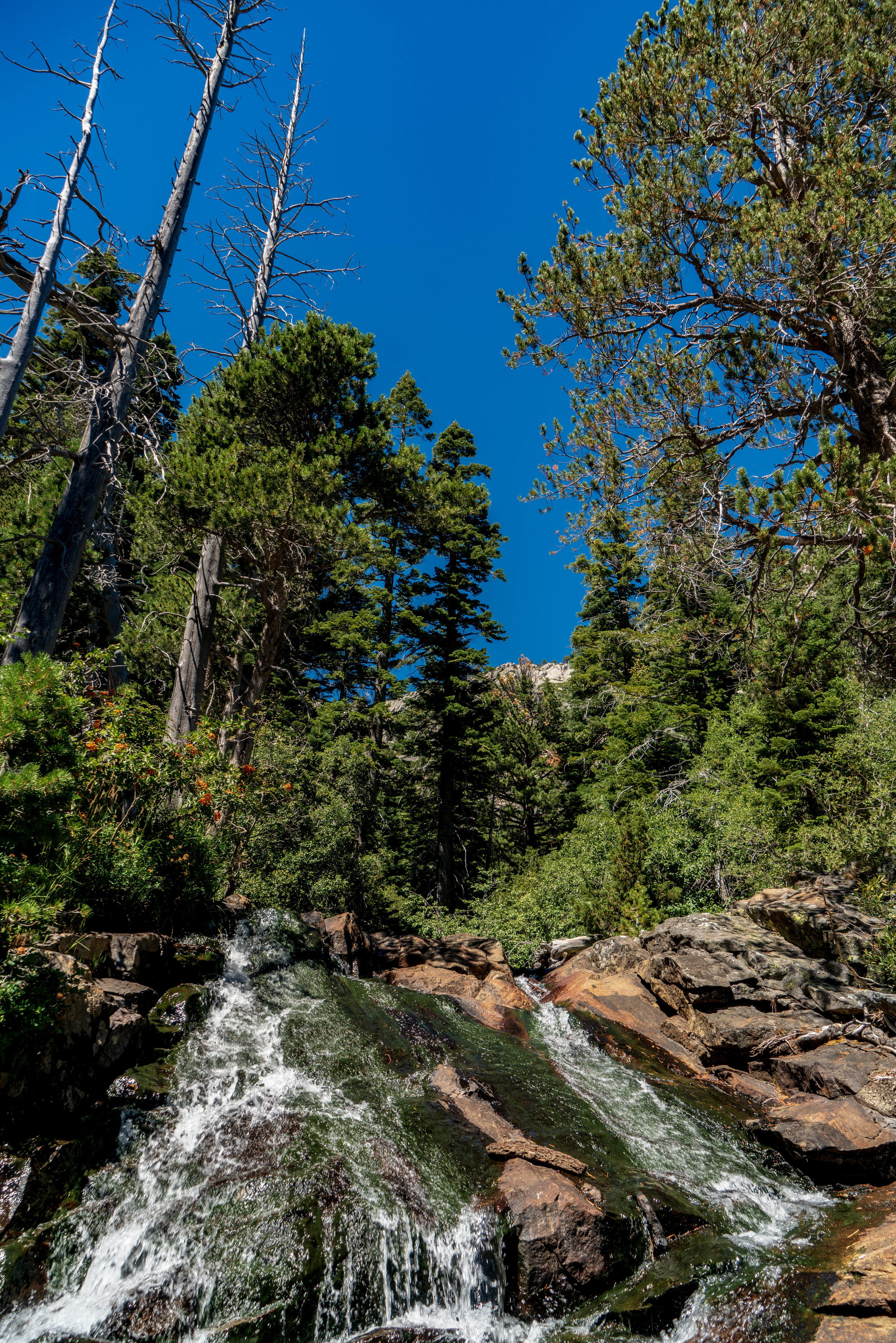 Lake Tahoe Eagle Falls Trail Guide