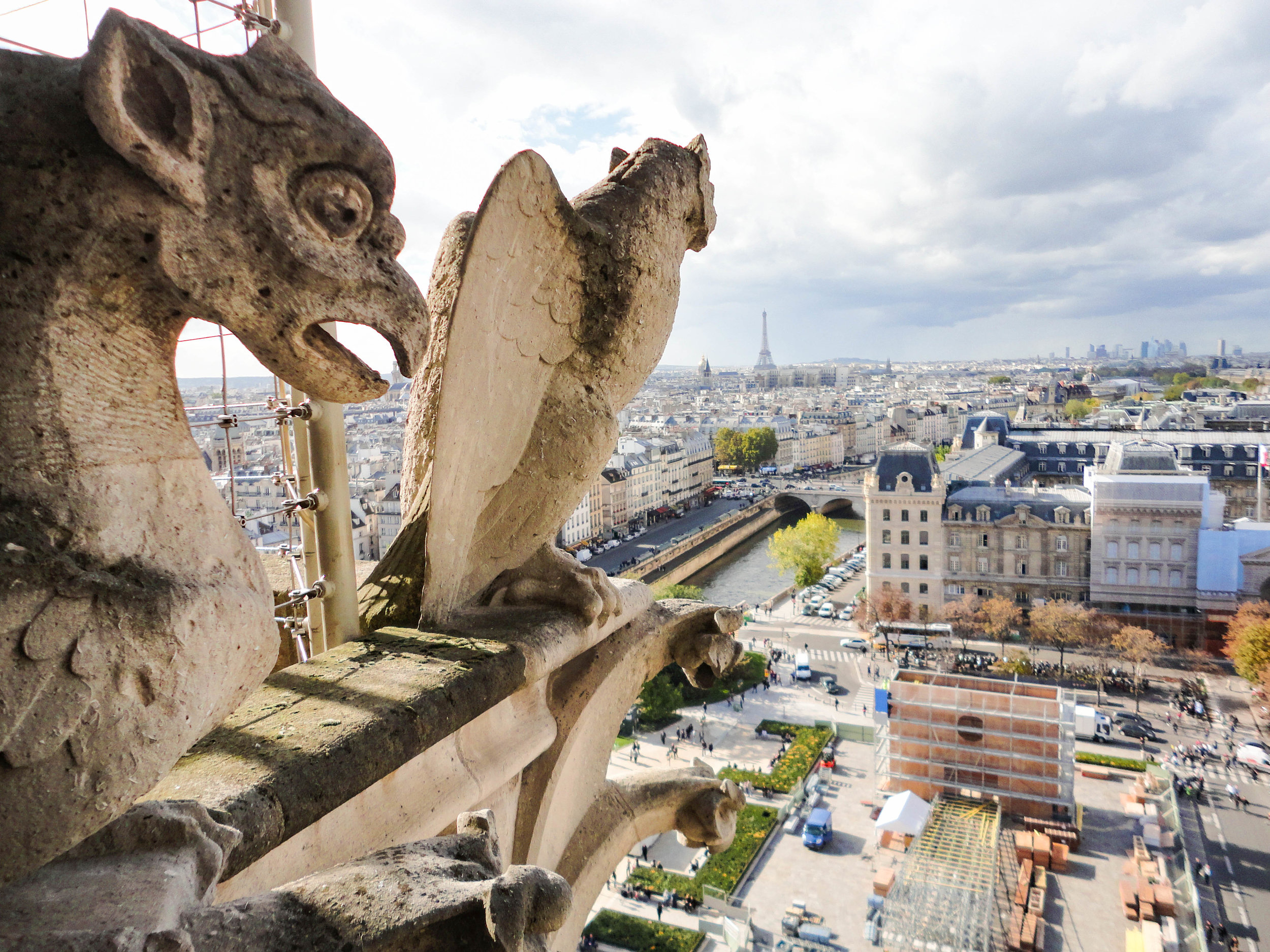 Notre Dame tower gargoyles before the fire