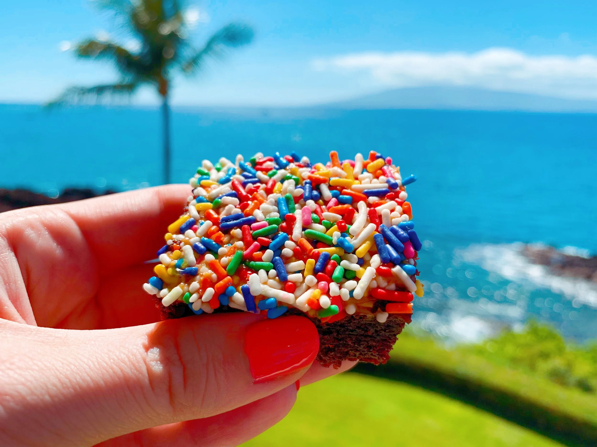 Maui_Tin_Roof_Brownie.jpg