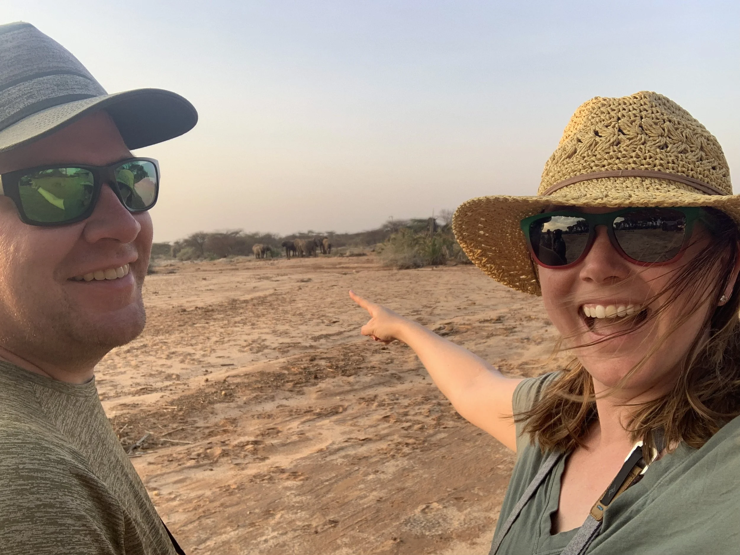 You never know when you’ll run into elephants,