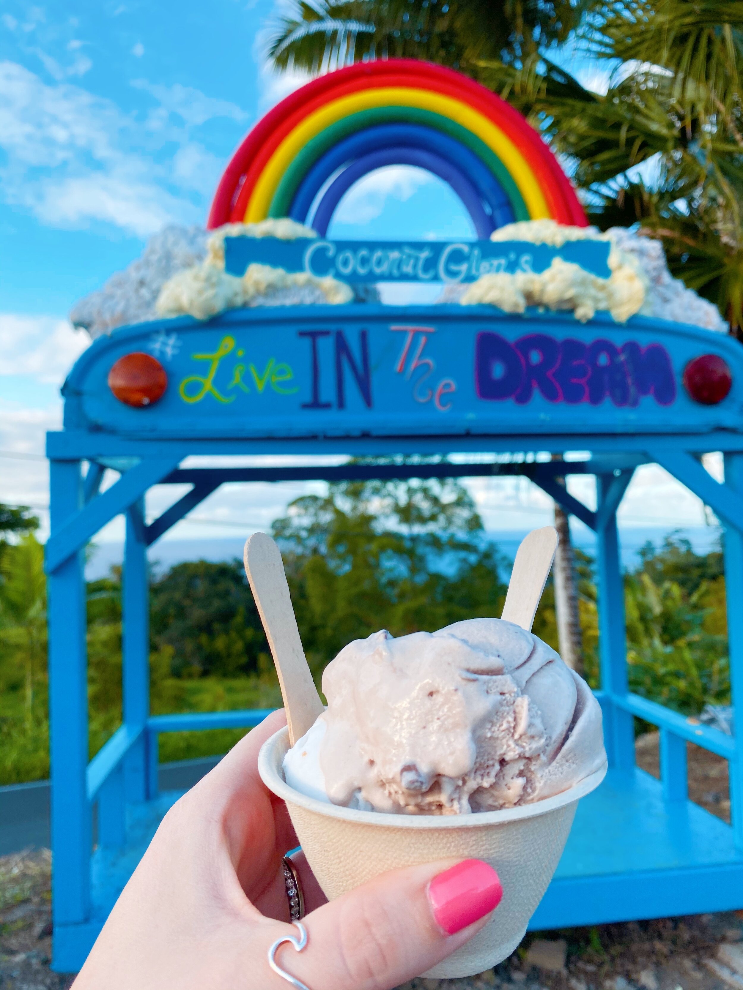 MAUI HAWAII Coconut Glen's Ice Cream - Road to Hana