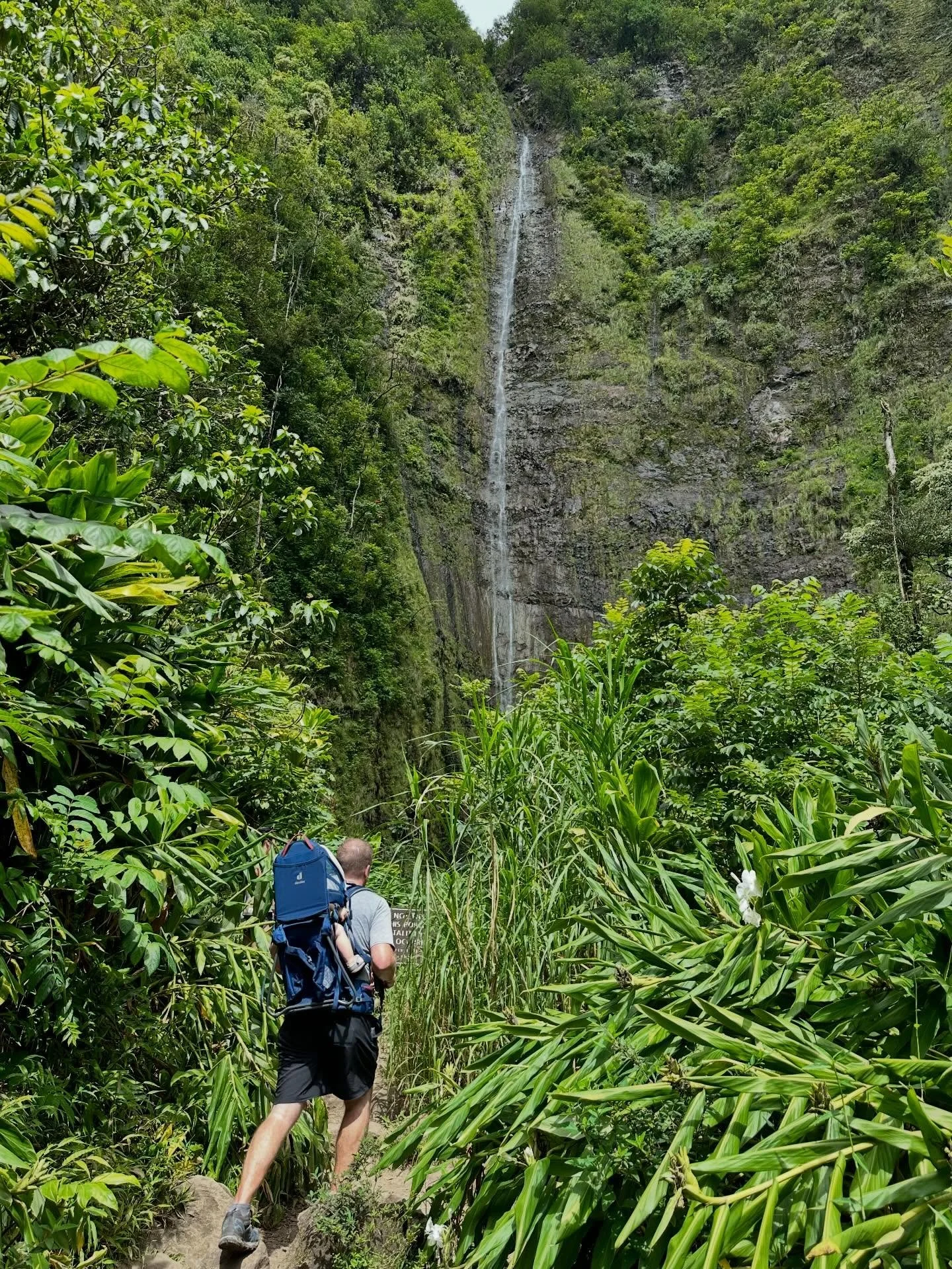 Planning Maui and want more than just pool days? 🌺

Here are some of the best hiking trails in Maui &mdash; from easy scenic walks to waterfall hikes that feel straight out of Jurassic Park.

I break down:
&bull; Difficulty level
&bull; Kid-friendly