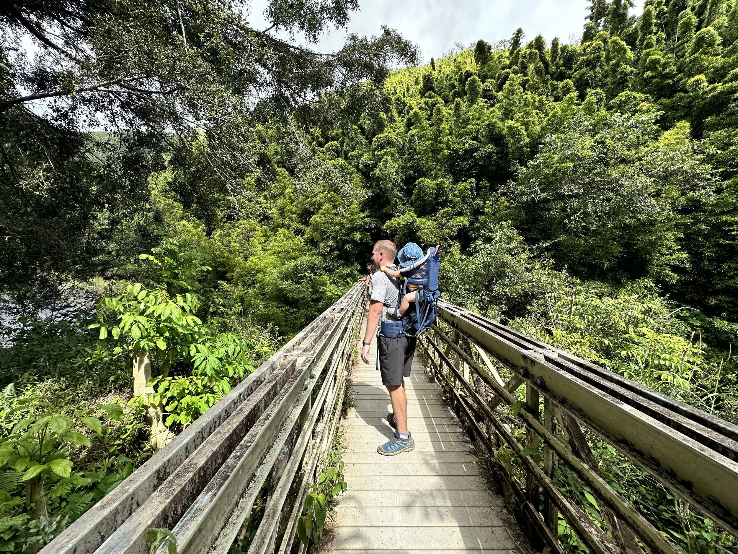 Walking the Pipiwai Trail in Maui Hawaii with baby in baby carrier