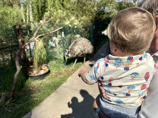 Santa Barbara Zoo is very hands on for kids - get up close and personal with the animals