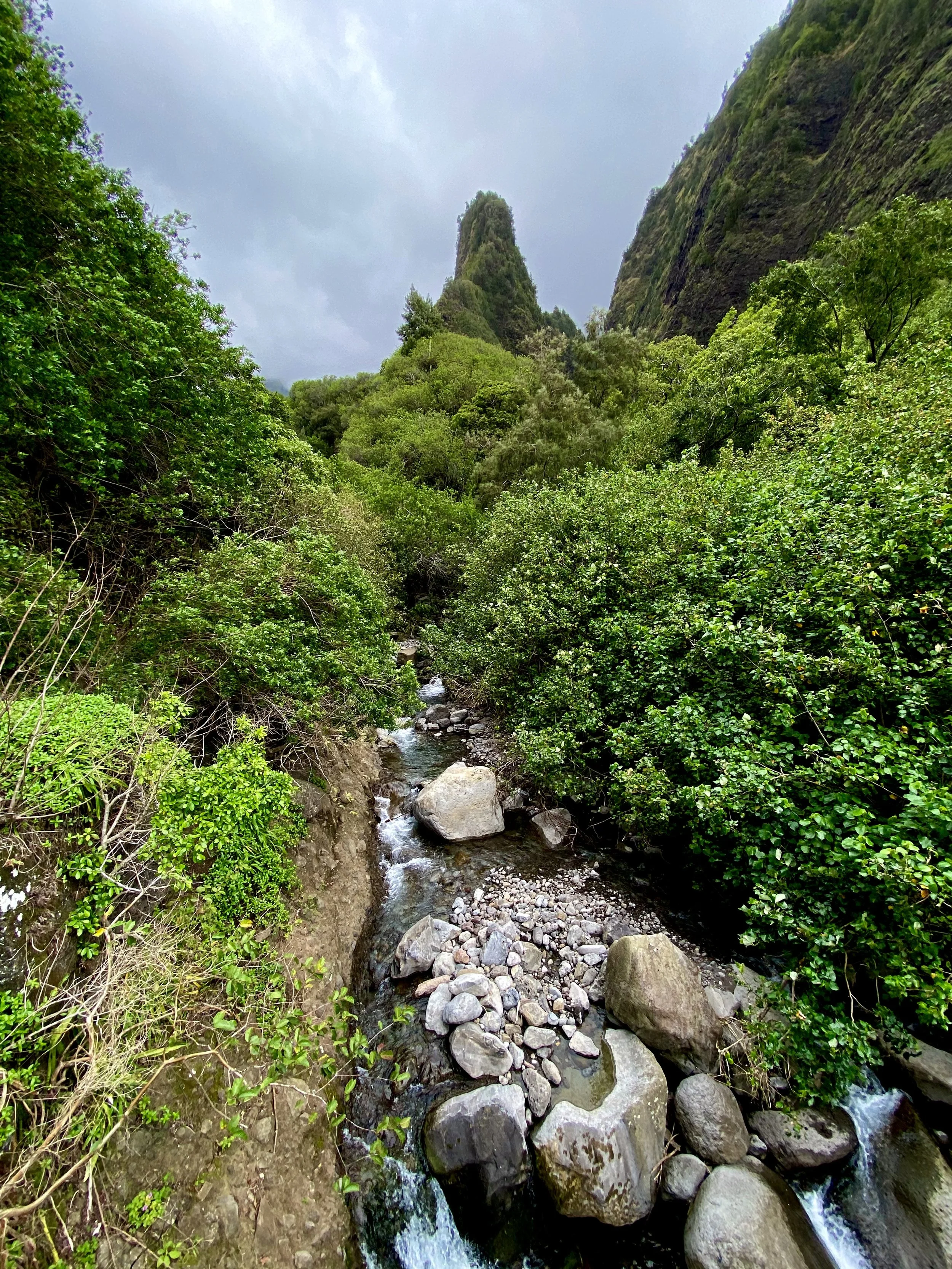 Iao Valley Needle Hike in Maui, Hawaii