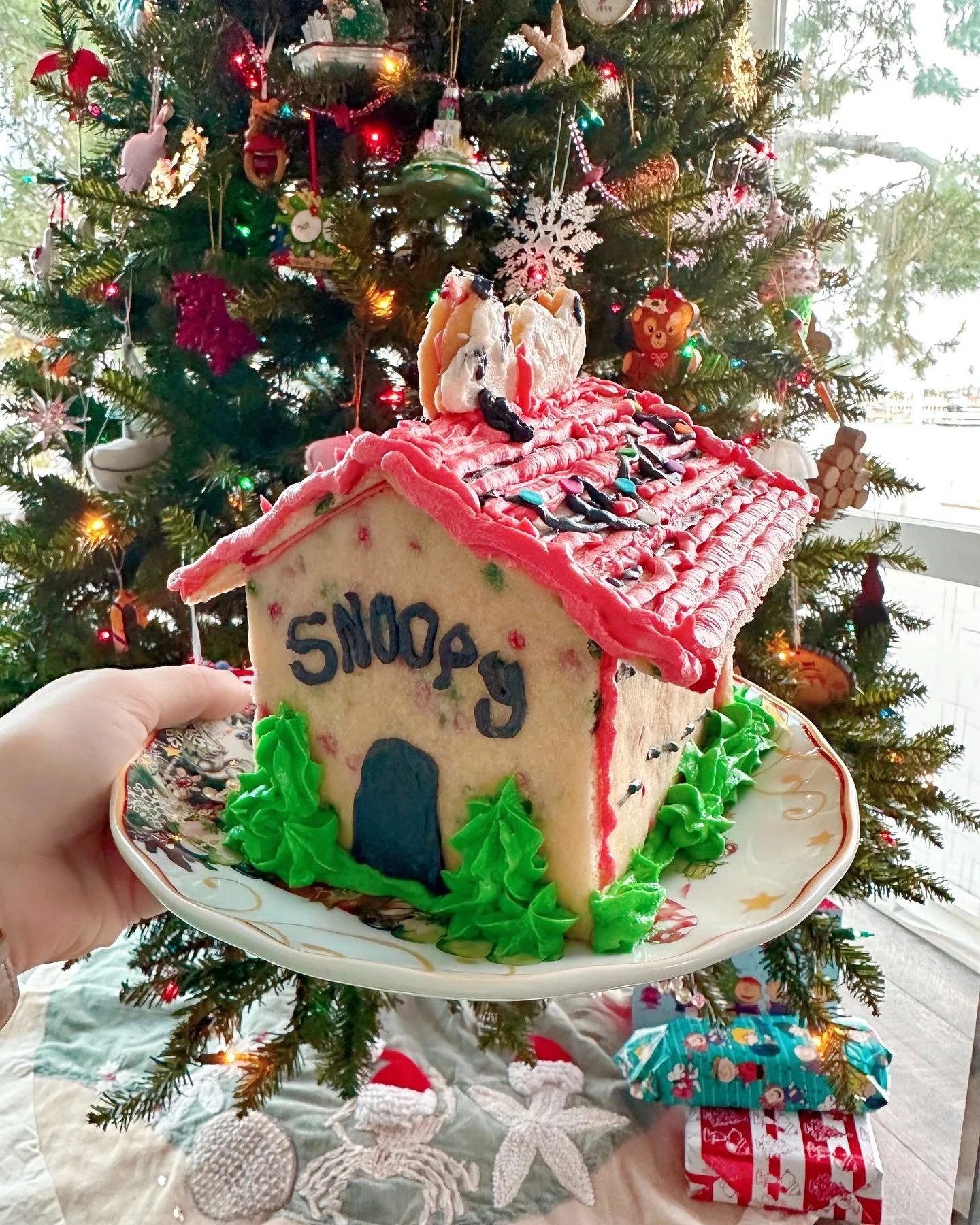 Christmas Snoopy Sugar Cookie House Design - no gingerbread!