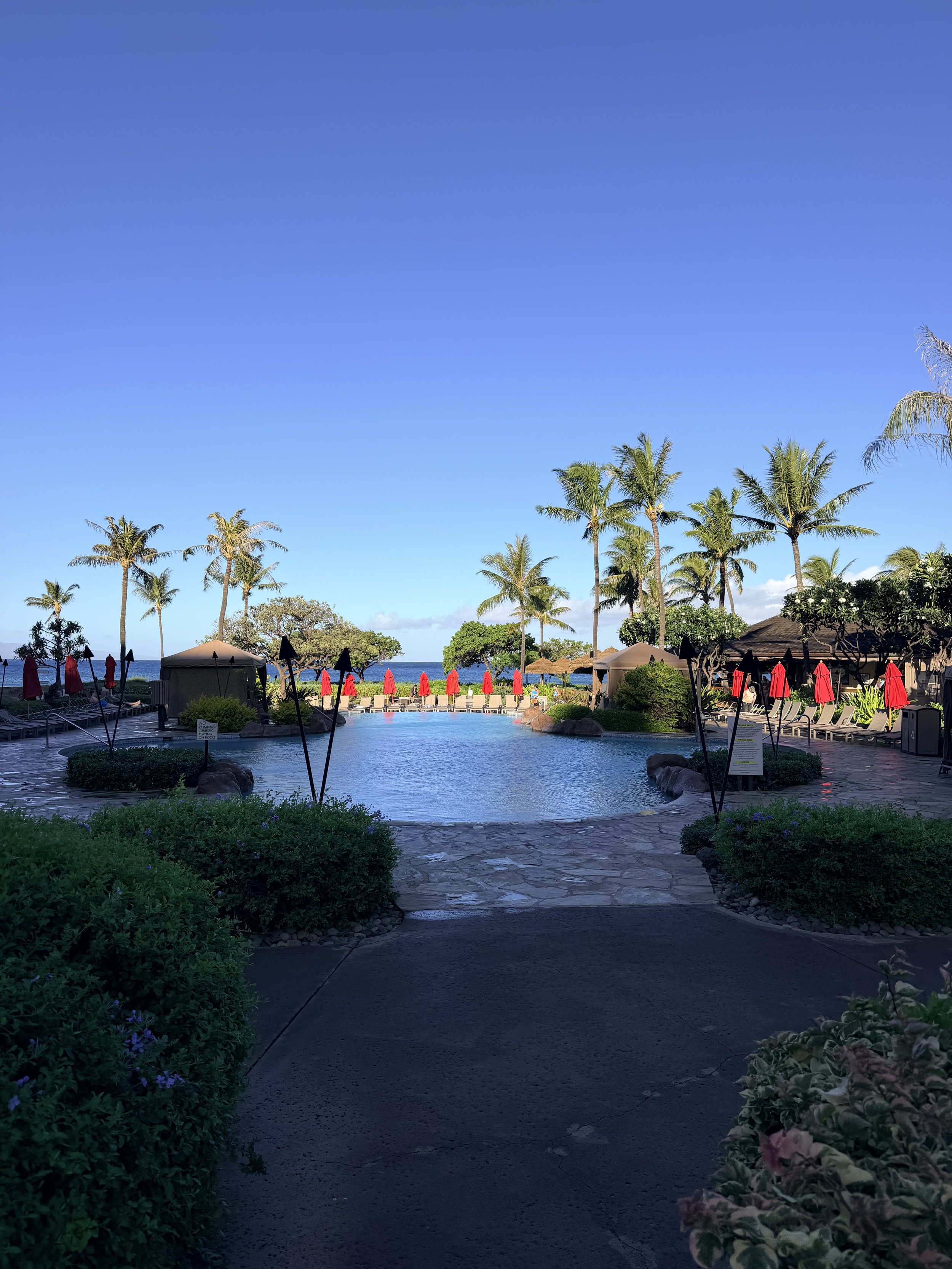 pool at Honua Kai first thing in the morning at Honua Kai