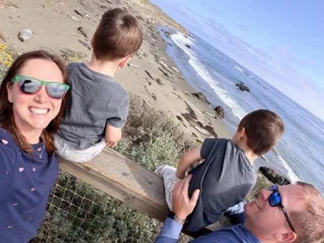 Elephant Seals along the California Coast Hwy 1 is the perfect stop for kids along PCH