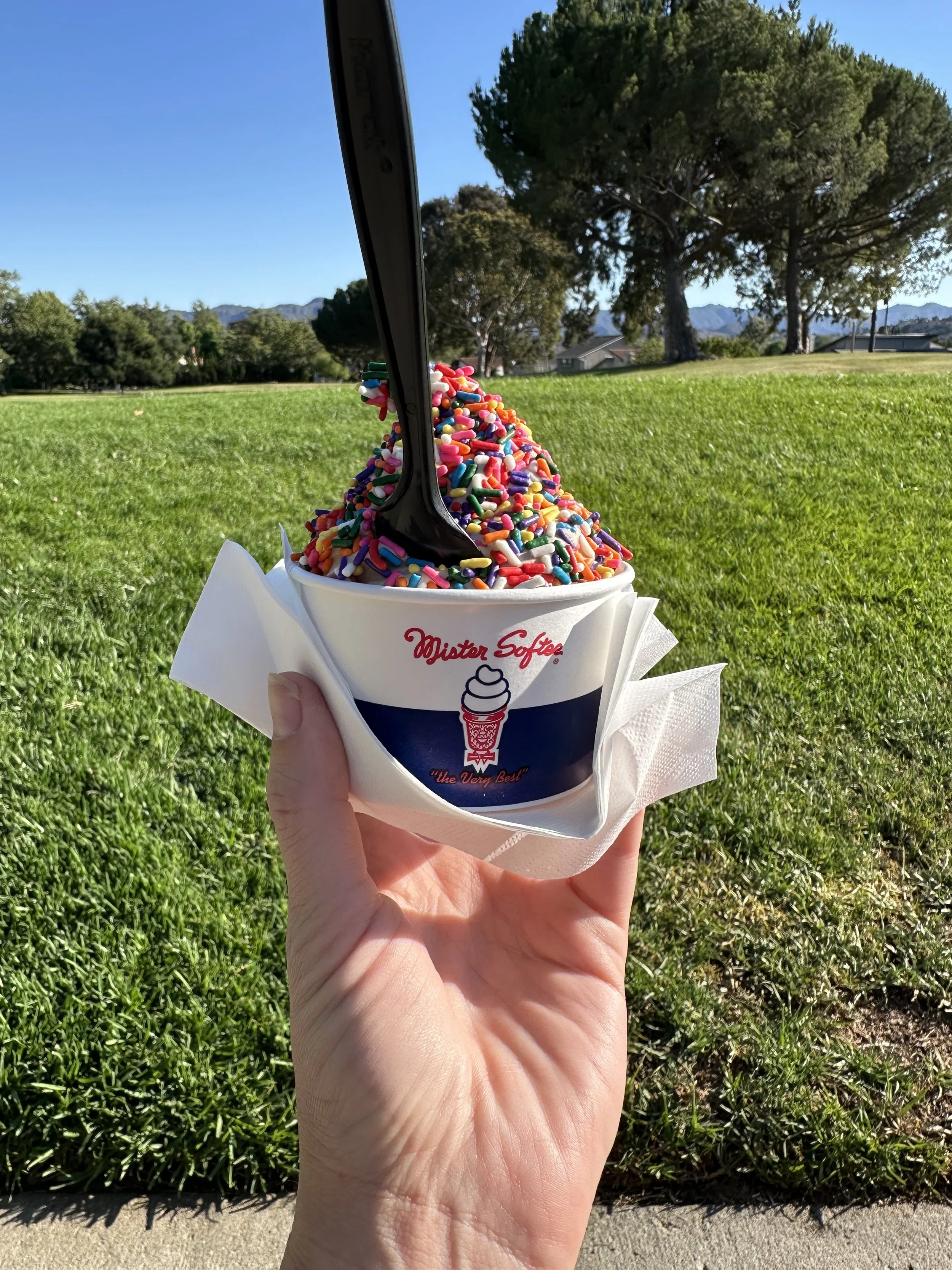 hand holding Mister Softee soft serve ice cream with sprinkles from favorite ice cream truck