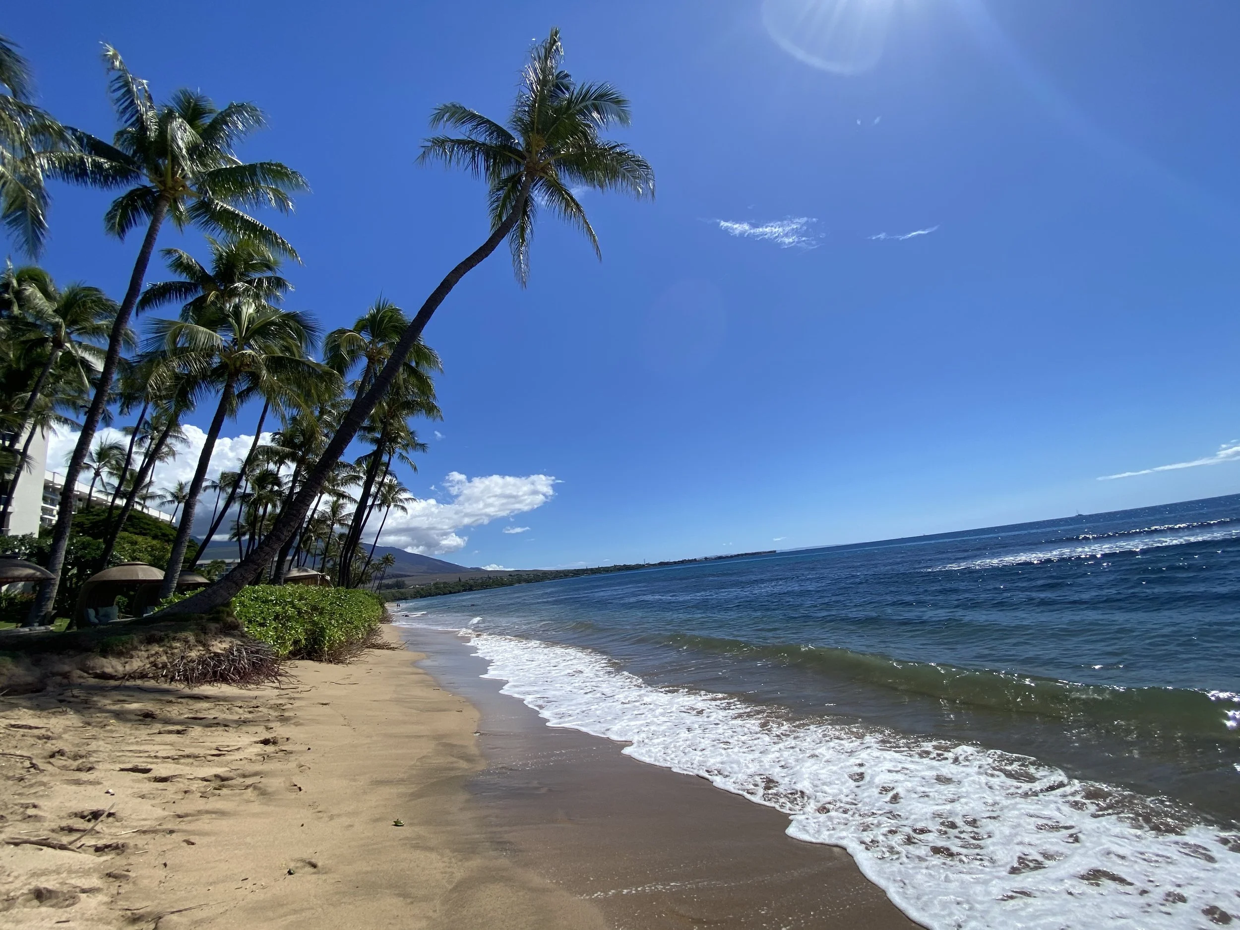 Kaanapali Beach Views
