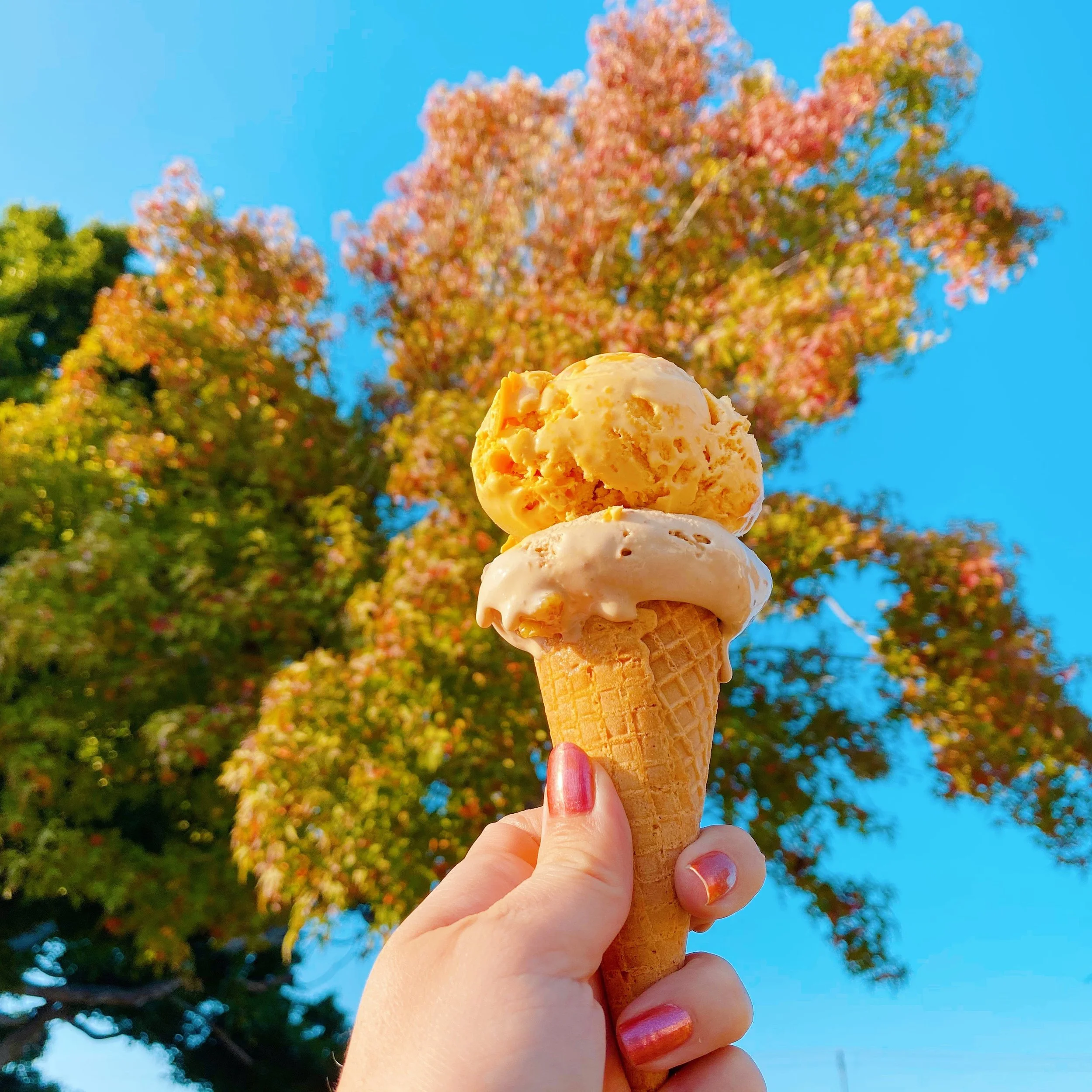 Fall pumpkin ice cream cone with fall leaves in the background
