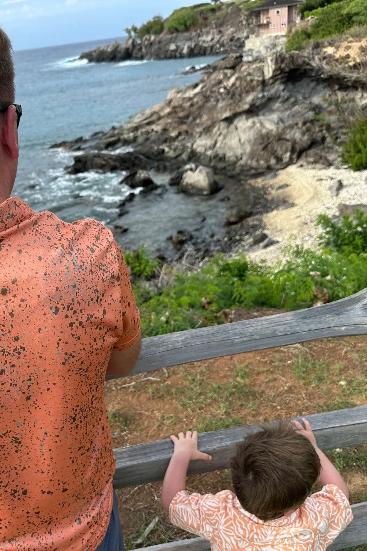 Sleeping Green Hawaiian Sea Turtles near Kapalua Bay in Maui