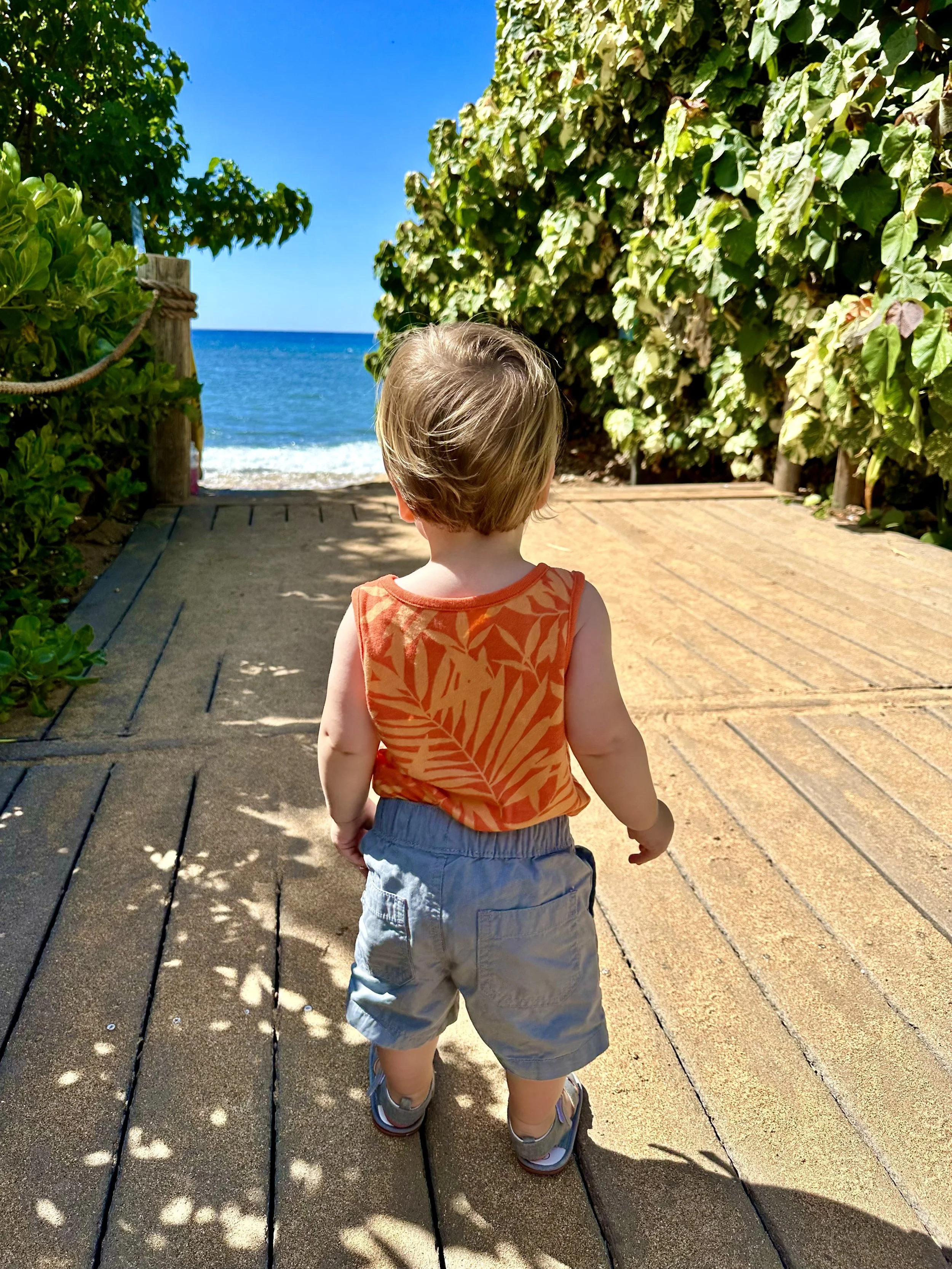Toddler walking on boardwalk towards ocean in Maui, Hawaii