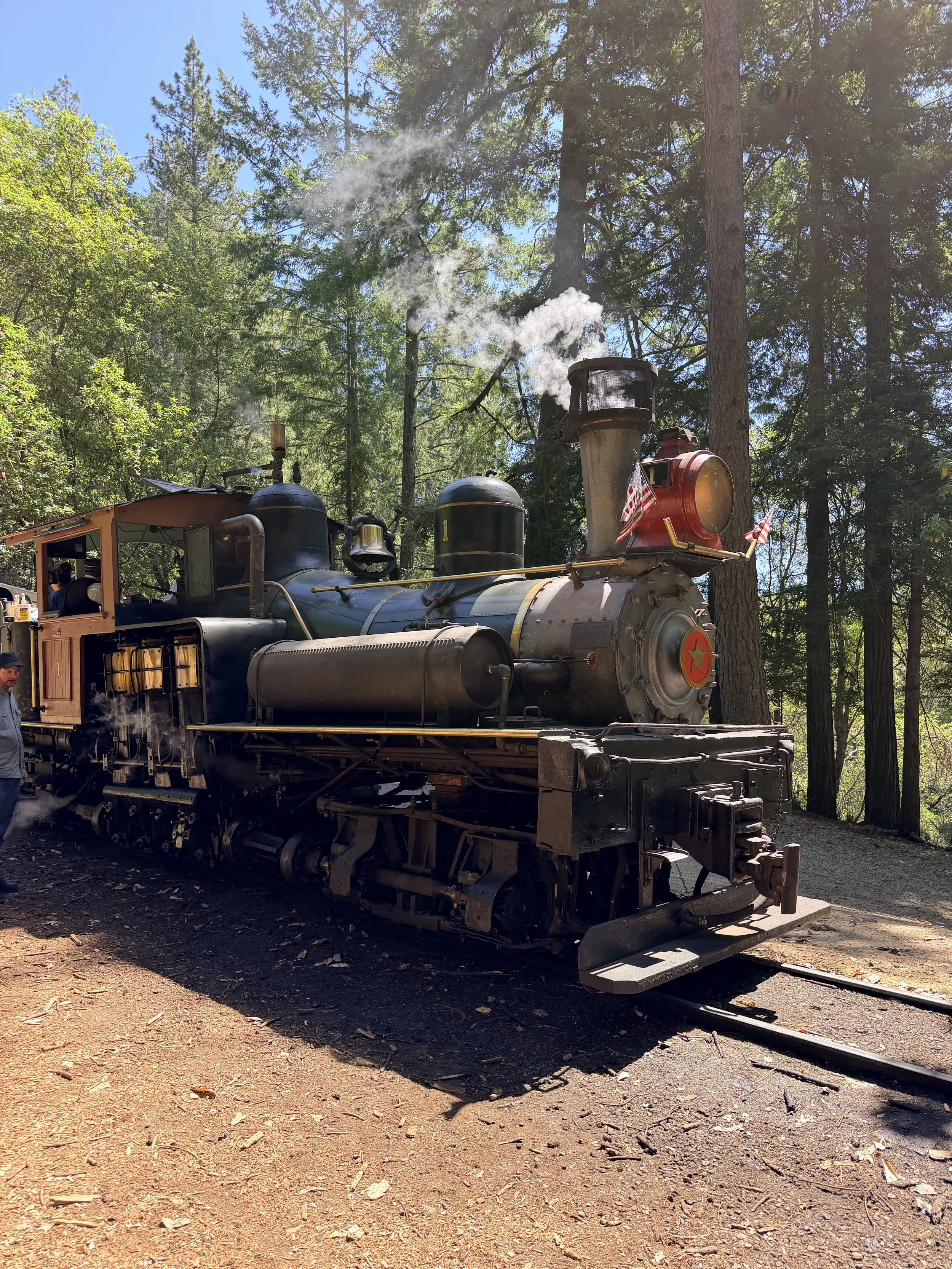 Roaring Camp Train in Santa Cruz - fun thing to do with toddlers