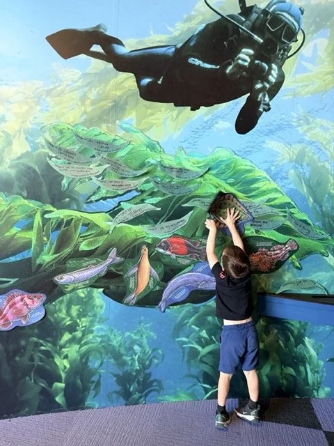 young kid hands on exhibit at the Monterey Bay National Marine Sanctuary Exploration Center