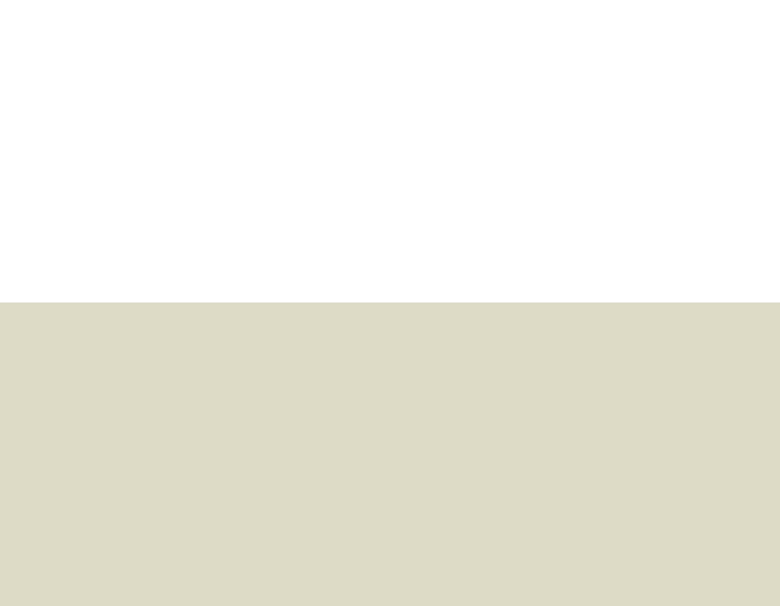Opt In Background alt.png