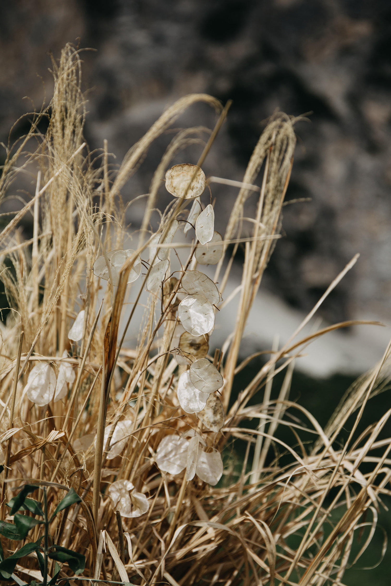 austrian+photography+portfolio+builder+workshop.jpeg