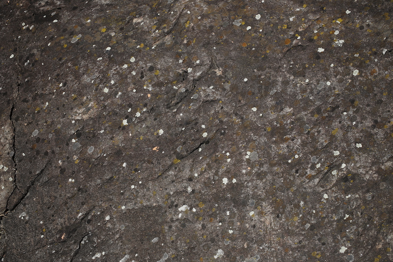 LICHENE_Ivonn Bergmoser_06_13A6655.JPG