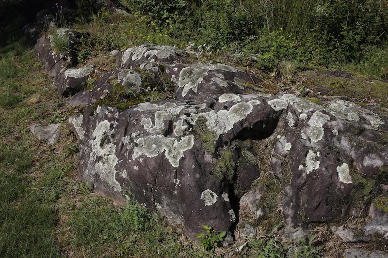 LICHENE_Ivonn Bergmoser_08_13A6121.JPG