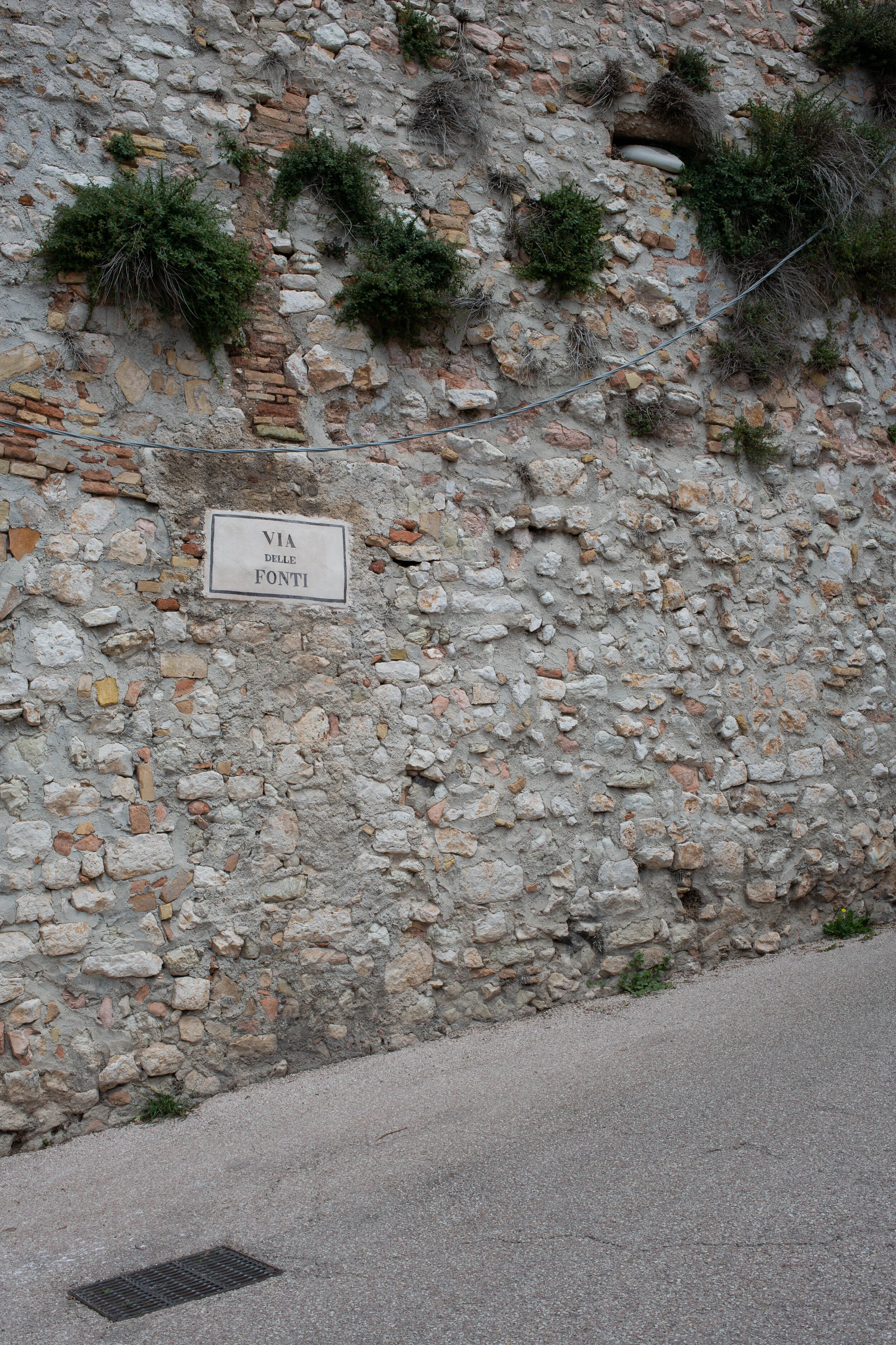 Trevi_3_Ivonn_Bergmoser_IB__13A0586.jpg