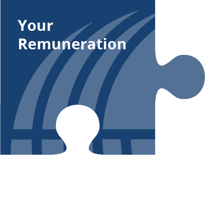 Your Remuneration Puzzle Piece.png