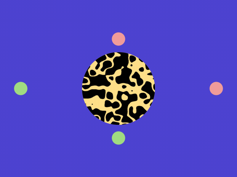 Expression-Test-02.gif