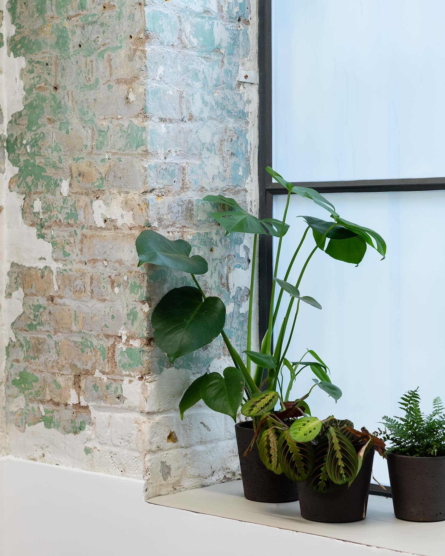 Architecture-London-Design-Freehaus-Workspace-Ink-Works-11.jpg