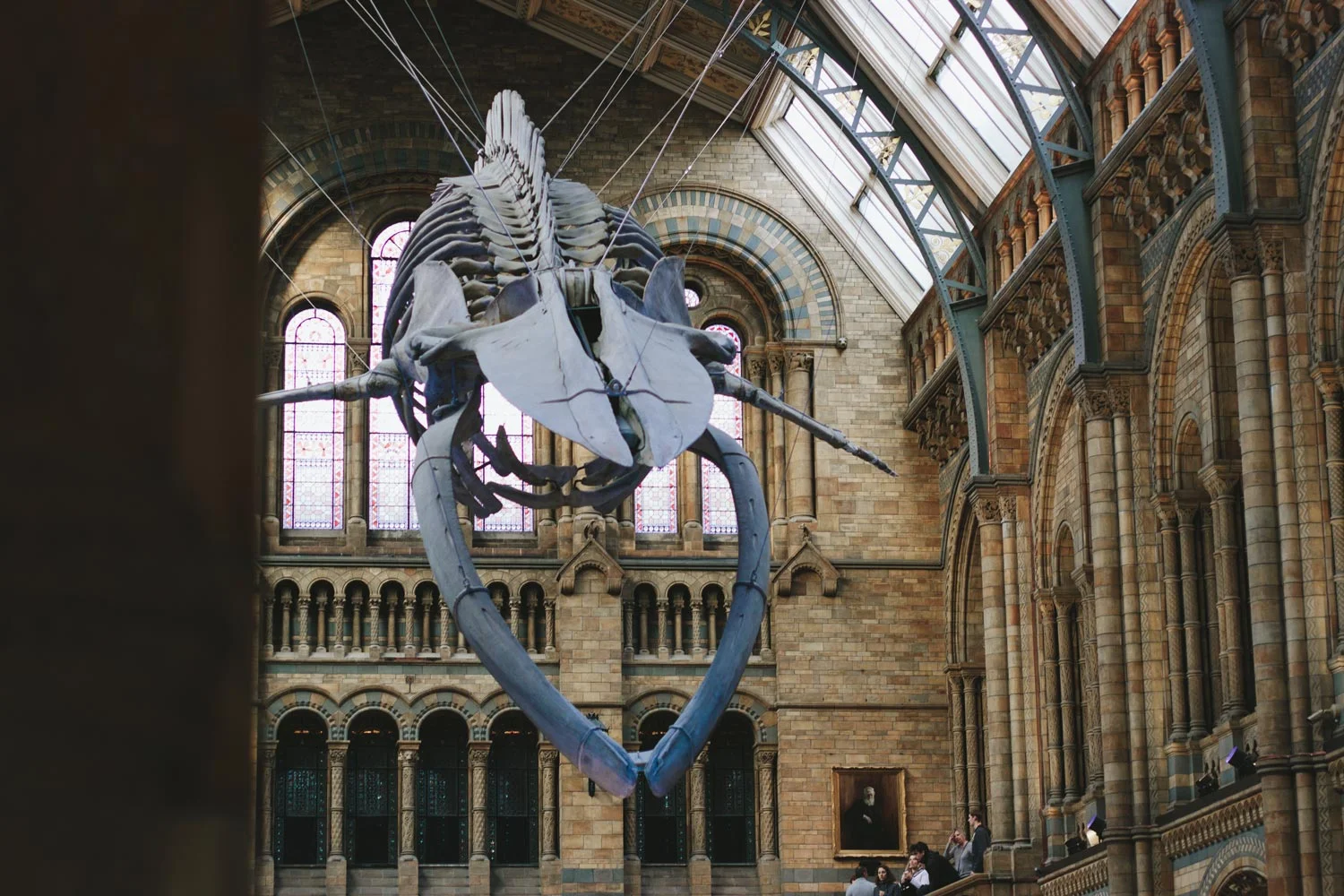 Architecture-London-Design-Freehaus-Studies-Natural-History-Museum-1.jpg