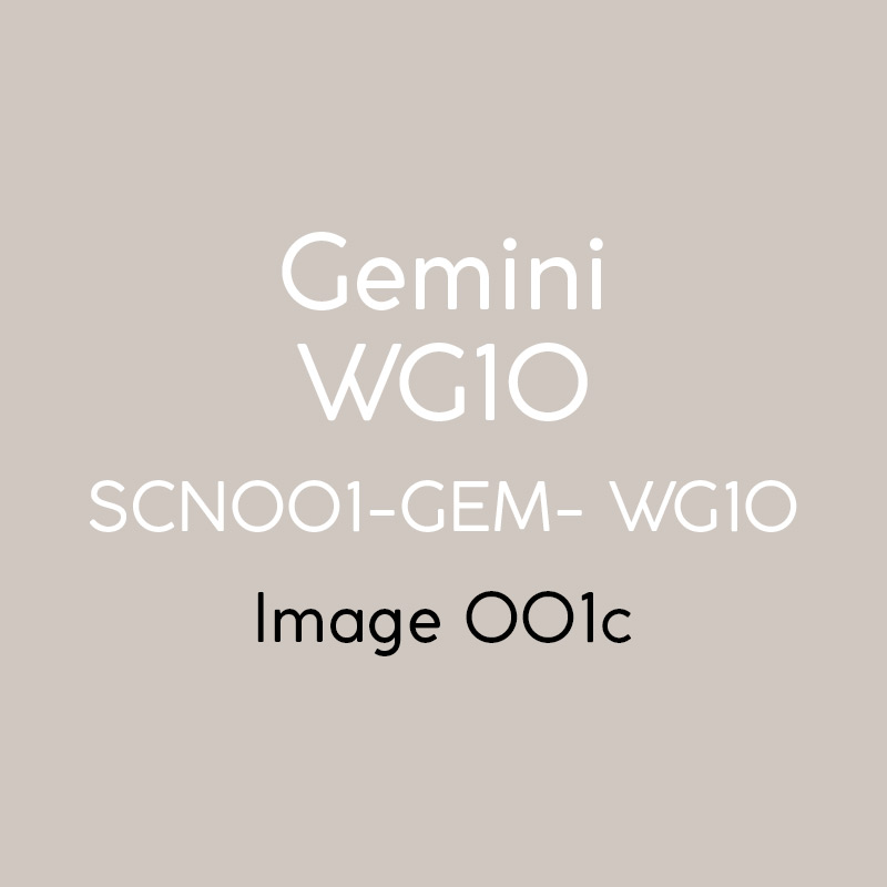 gemini_WG10_001c.jpg