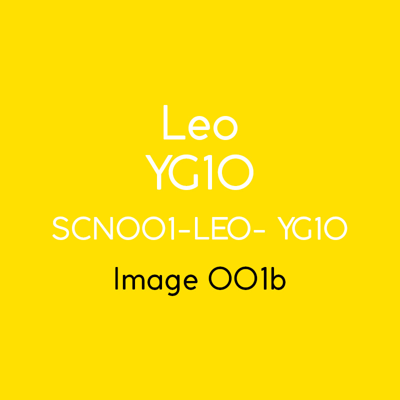 leo_YG10_001b.jpg