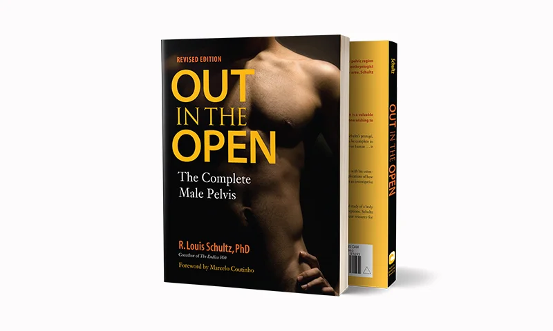 out_in_the_open.jpg