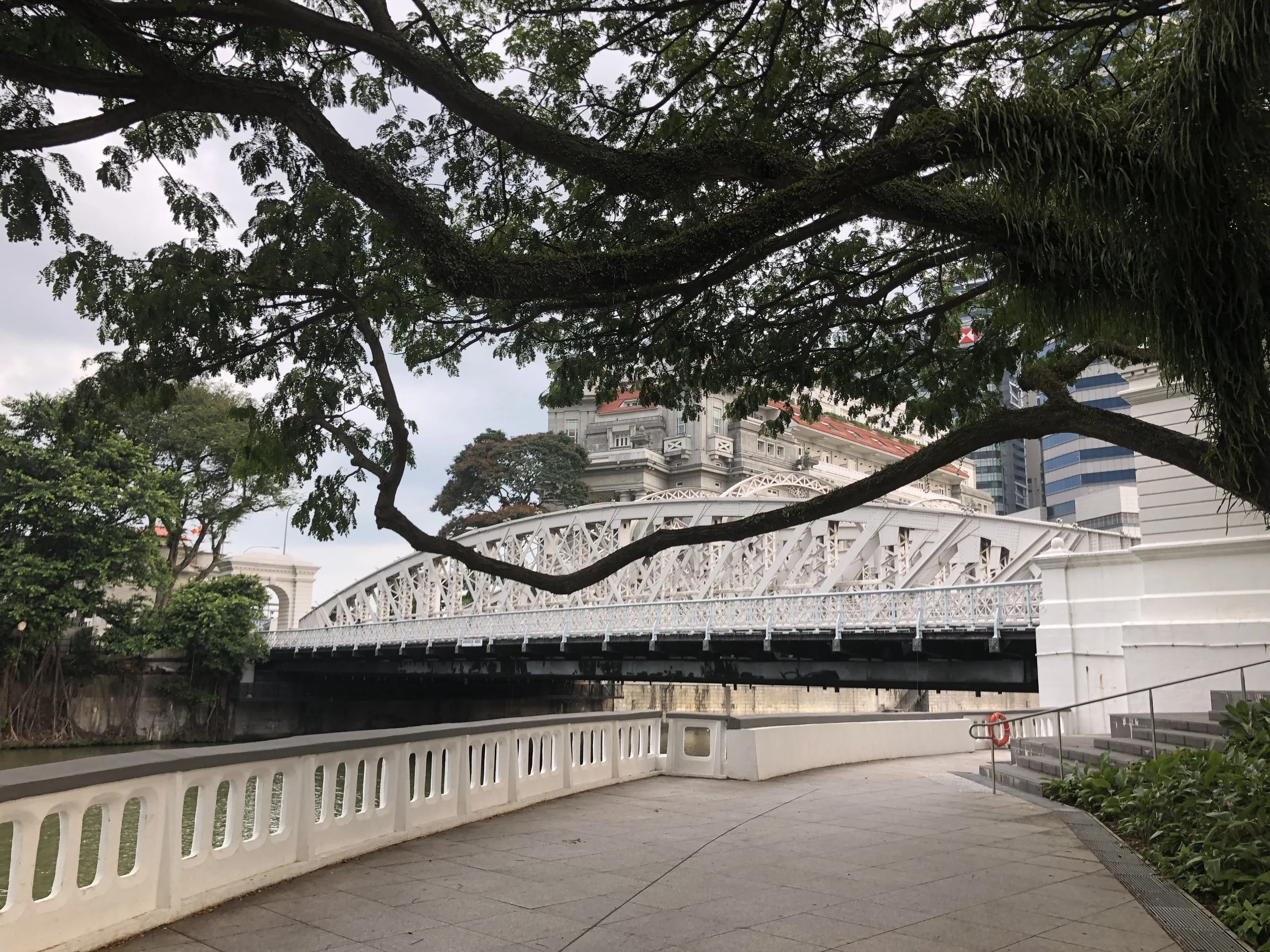 A pretty white bridge called the Anderson Bridge on the way to see the Merlion.