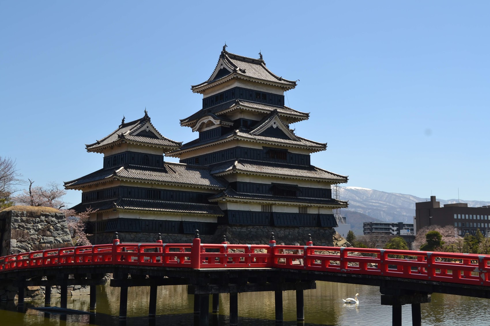 Antes de entrar al complejo del Castillo Matsumoto, ¡se puede ver el foso con un puente rojo y un cisne!