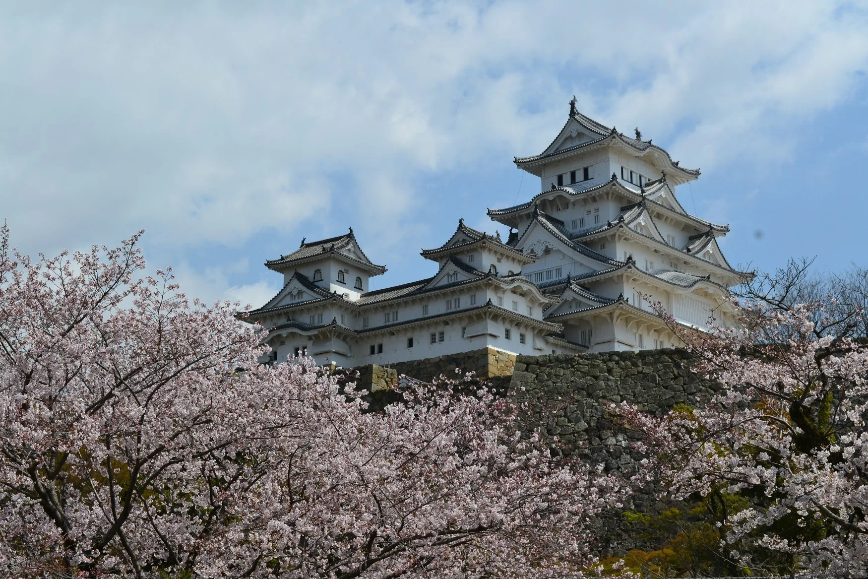 Había que caminar mucho para llegar a la entra principal del Castillo Himeji. Aunque había que caminar mucho, también había muchas flores de sakura para ver.