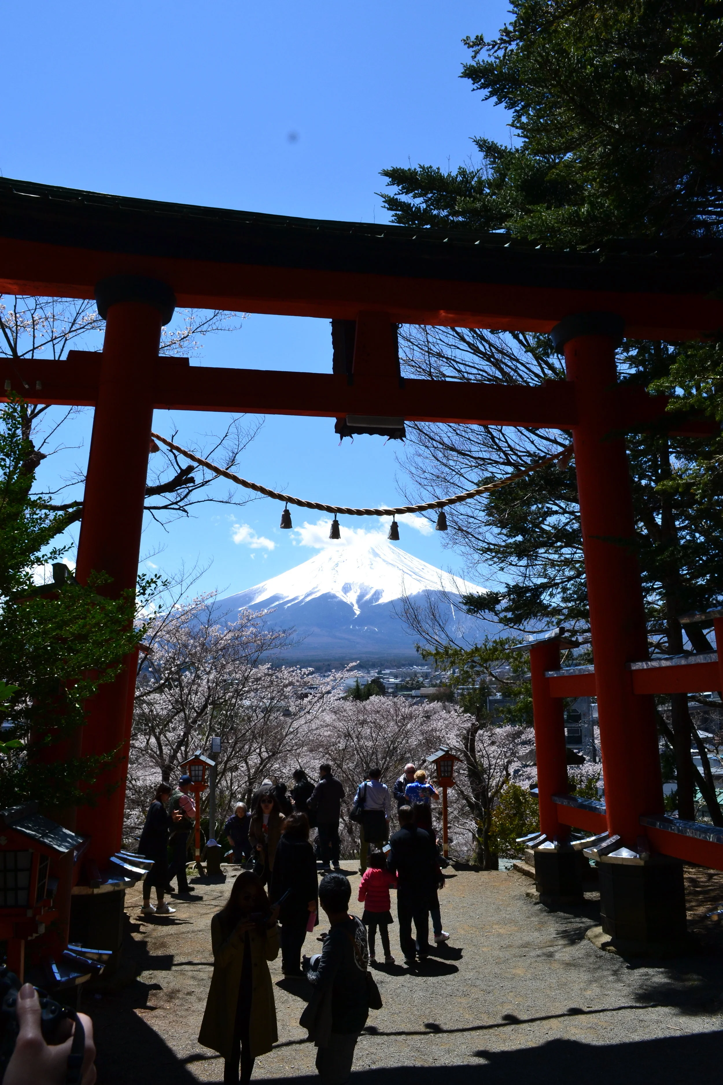 Escalé las gradas para Pagoda Chureito y cuando pase el torii (la puerta del santuario de Chureito), miré hace atrás y me sorprendió la vista. Era Monte Fuji y los árboles de sakura con el bella puerta roja. Esta fue una vista inolvidable. Y puede ver como la gente se paraban para tomar foto de la vista.