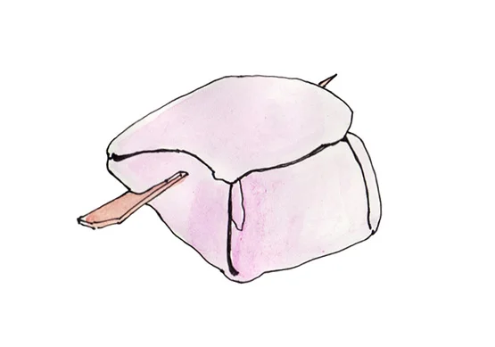 Illustration, o tabemono