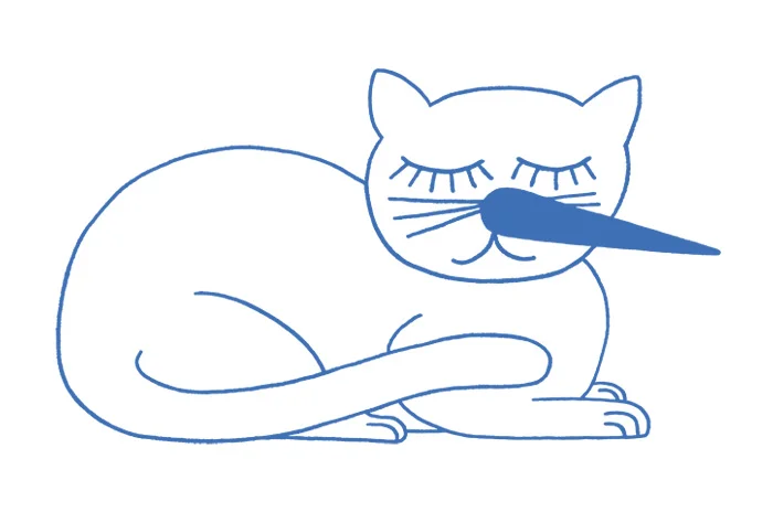 Katze, ZKB