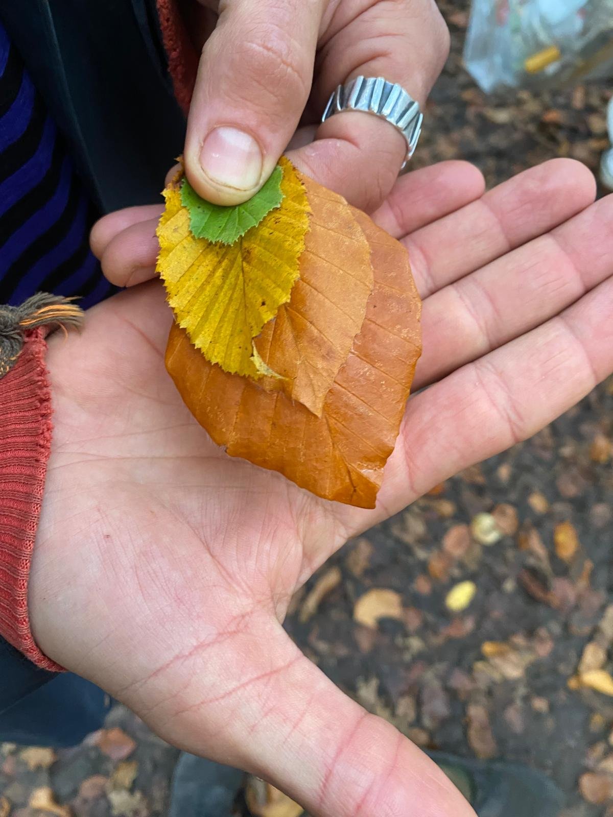 WhatsApp Image 2024-11-10 at 22.42.00_12225724.jpg