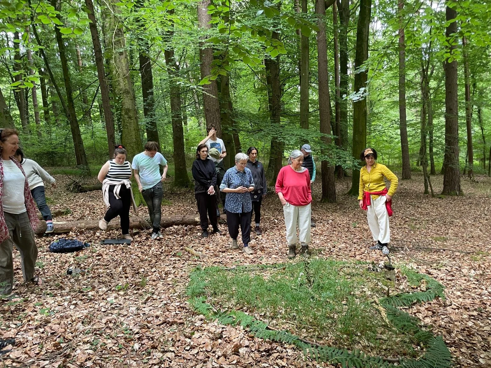 WhatsApp Image 2026-01-30 at 11.01.34 (2).jpeg