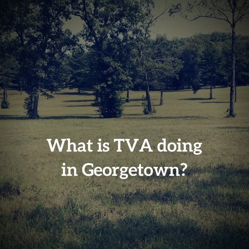 what is tva doing.jpg
